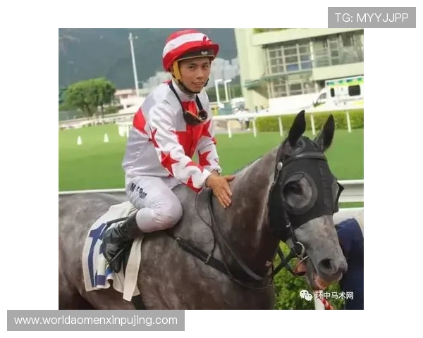 hkjc体育：香港赛马会体育赛事数据分析与投注决策的实用建议